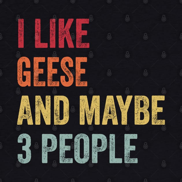 I Like Geese & Maybe 3 People Geese Lovers Gift by ChadPill